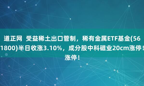 道正网 受益稀土出口管制,稀有金属ETF基金(561800)半日收涨3.10%,成分股中科磁业20cm涨停!