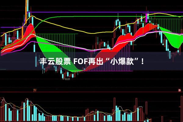 丰云股票 FOF再出“小爆款”！