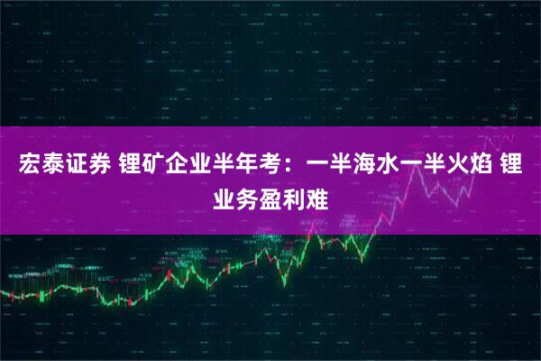 宏泰证券 锂矿企业半年考：一半海水一半火焰 锂业务盈利难